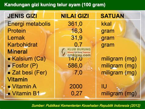 Meningkatkan nilai gizi voer dengan menambah kuning telur | OM KICAU