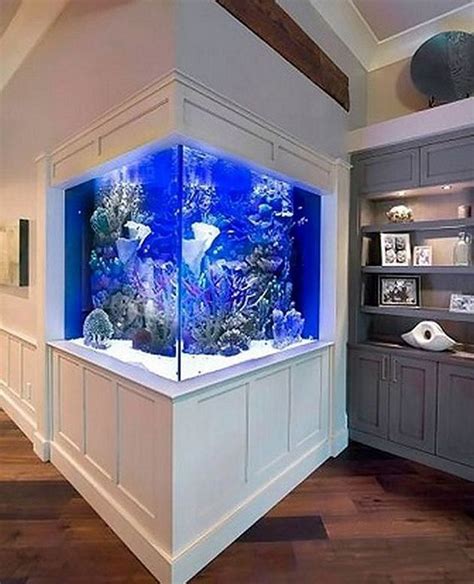 11 Sample In Wall Aquarium Ideas With New Ideas | Home decorating Ideas