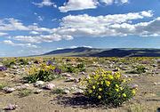 Category:Hanford Reach National Monument - Wikimedia Commons