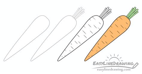 How to Draw a Carrot Step by Step - EasyLineDrawing