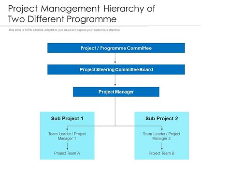 Project Management Hierarchy Of Two Different Programme | Presentation ...