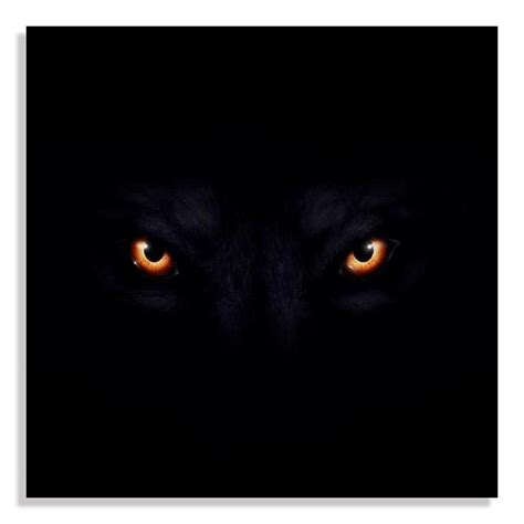 Snoogg Canvas Wall Art Painting Lion Eyes Dark Black UnFramed Decor For ...