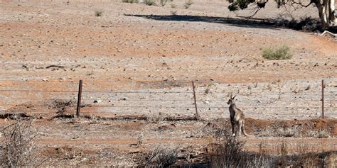 Drought Relief Efforts Continue To Ramp Up - NSW Nationals