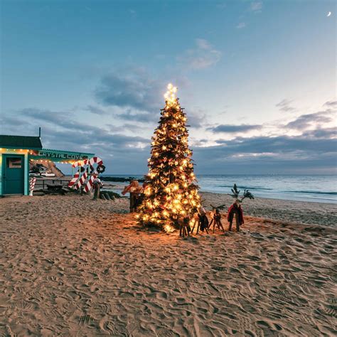 In Plain Sight: A Christmas Tree at Crystal Cove State Park - Orange Coast Mag