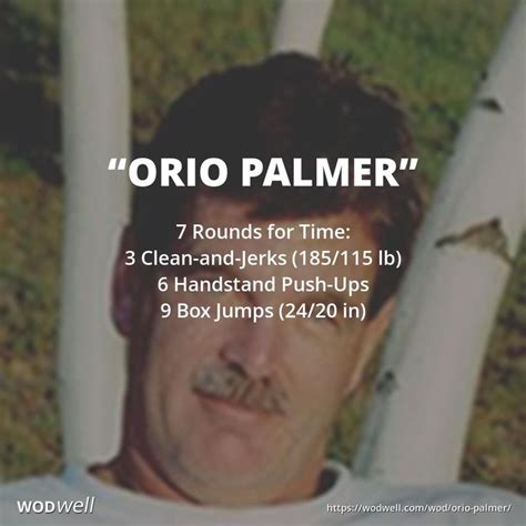 "Orio Palmer" Workout, 555 Fitness Hero WOD | WODwell | Hero workouts, Hero wod, Handstand