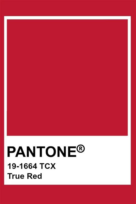 Pantone True Red | Pantone red, Pantone palette, Pantone swatches