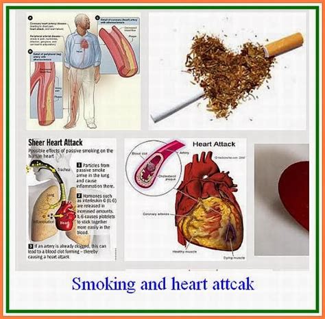 Your Health problem and my advise (Telugu -Collection).: Do smoking ...