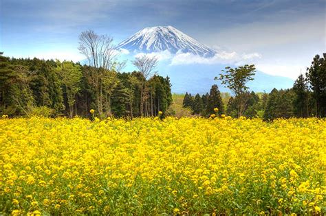 Mount Fuji, Japan - Beautiful Places to VisitBeautiful Places to Visit