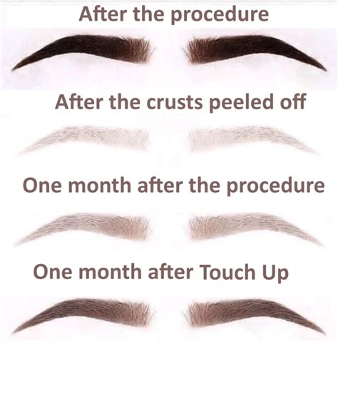 Eyebrow tattoo aftercare and eyebrow tattoo healing stages. - Elite Look