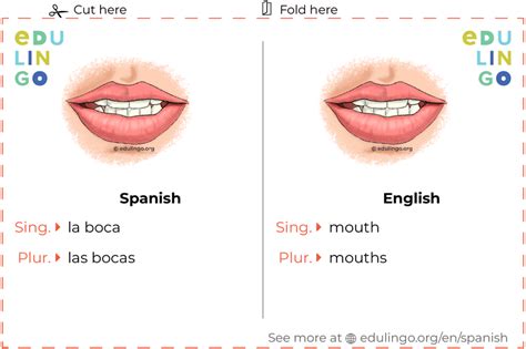 Mouth in Spanish • Writing and pronunciation (with pictures)