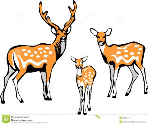 Sika deers clipart 20 free Cliparts | Download images on Clipground 2024