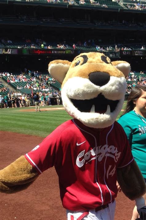 Washington State cougars' mascot at Safeco field. | Washington state cougars, Mascot, Safeco field