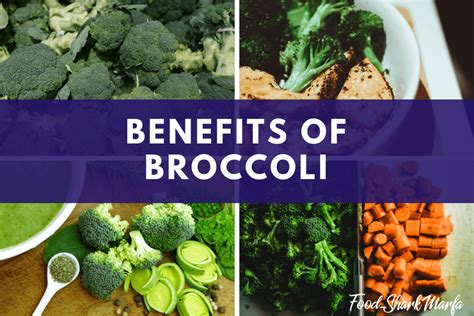 Some of the Proven Health Benefits of Broccoli | Food Shark Marfa