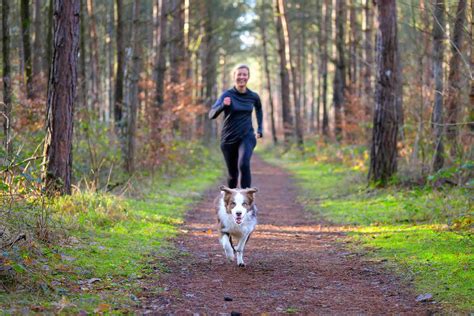 4 Ways Pets Can Boost Your Recovery | Animal Therapy