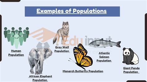 10 Examples of Populations