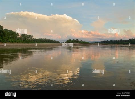 Still life on the Tambopata River, Tambopata National Reserve, Peruvian ...