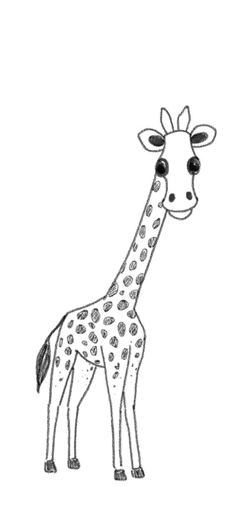 Share more than 83 giraffe sketch for kids super hot - seven.edu.vn