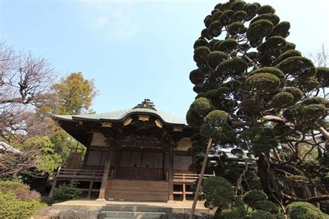 Free picture: architecture, wood, Asia, Japan, patio, structure, area, tree, outdoor