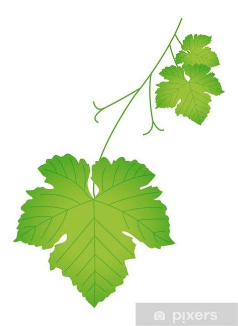 Sticker Feuille de vigne - PIXERS.US