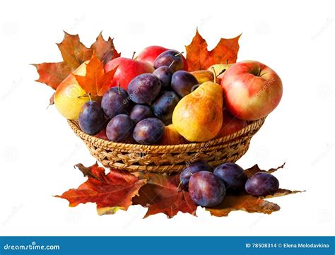 Basket with Fruits and Autumn Leaves , Isolated on White Stock Photo ...