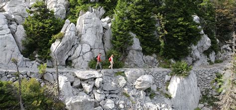 Risnjak National Park - Primorsko Goranska, Croatia - Tramposaurus • Tramposaurus