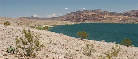 Lake Mohave Houseboat Rentals and Vacation Information