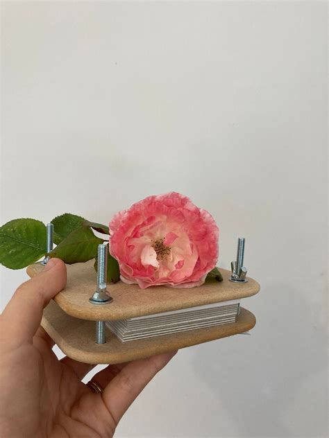 Mini Flower Press Kit Plant Press Kit Flower Pressing - Etsy