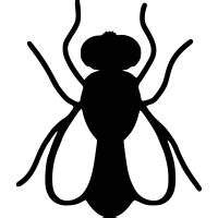 fly Icon - Free PNG & SVG 1148809 - Noun Project