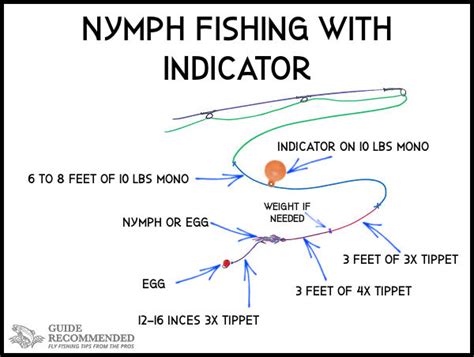 Mastering Spring Steelhead Fly Fishing: Techniques, Locations, and More ...