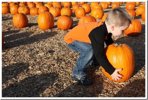 Pumpkin Patch Fun - A Thoughtful Place