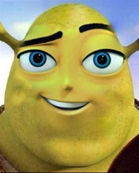 #Shrek | Cursed images, Shrek, Shrek memes