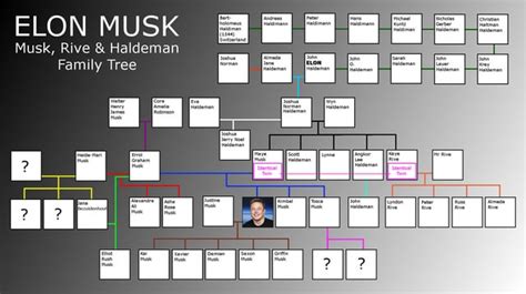 SEC Probes Trading by Elon Musk and Brother in Wake of Tesla CEO’s ...