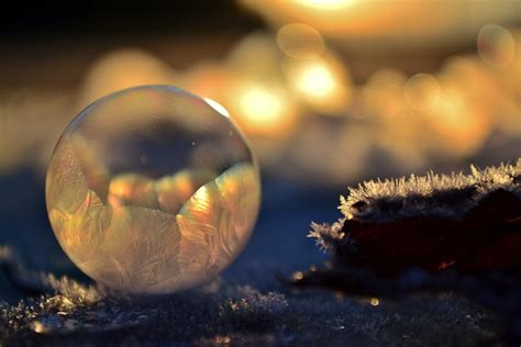 Frozen Bubbles Photography-5 – Fubiz Media