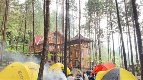 Camping Area Guci Forest Tegal – Kotomono.co