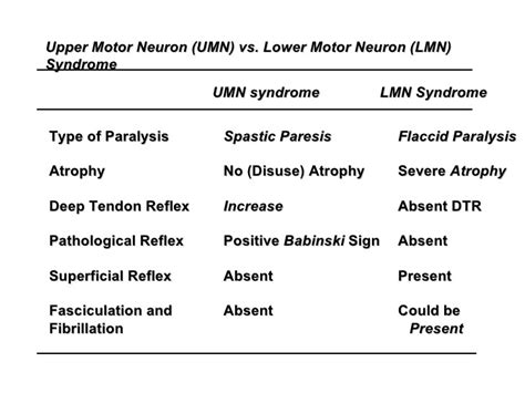 Exles Of Upper And Lower Motor Neuron Lesions - Infoupdate.org