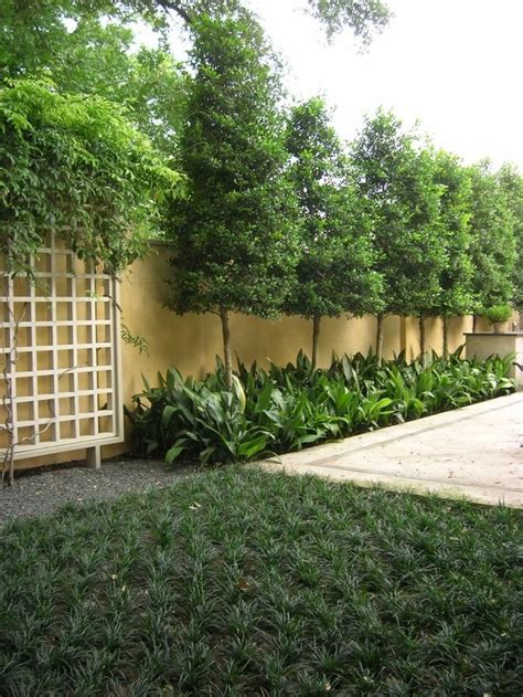 50 clever green backyard lanscaping design ideas (30) | Privacy landscaping backyard, Privacy ...