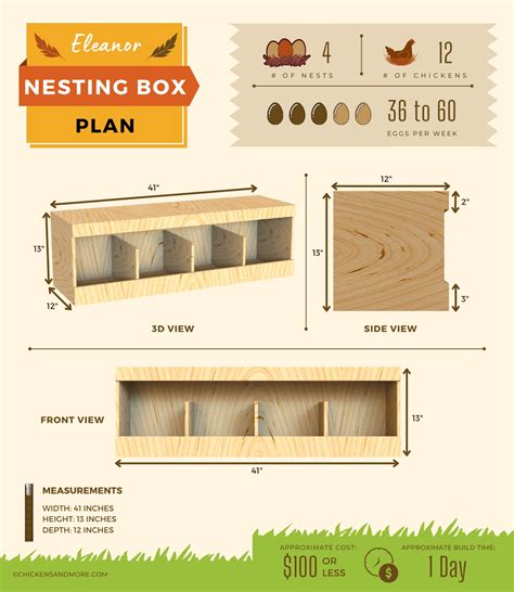 How to Optimize Chicken Nest Box Height for Maximum Chicken Husbandry Success - ChickenPressa