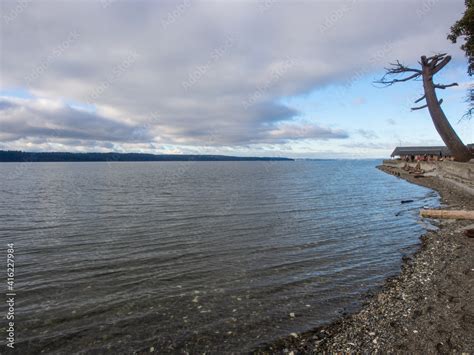 Cama Beach State Park Stock Photo | Adobe Stock