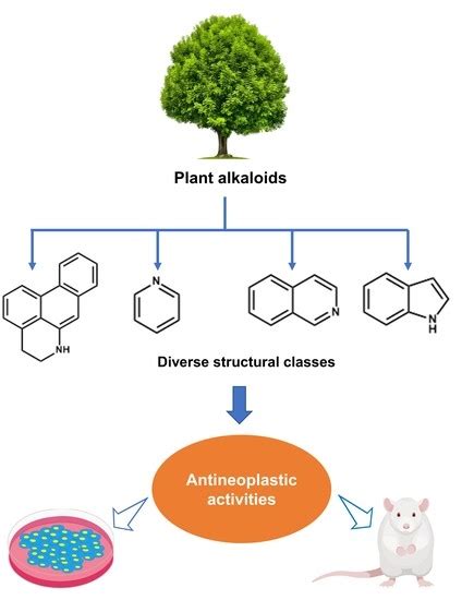 Molecules | Free Full-Text | Therapeutic Role of Alkaloids and Alkaloid ...