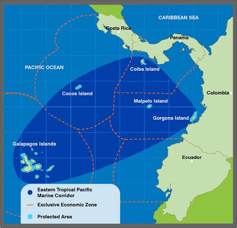 Frontiers | The Eastern Tropical Pacific Marine Corridor (CMAR): The ...