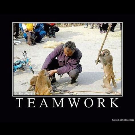 Teamwork Funny Photos, Funny Images, Silly Pictures, Pictures Images ...