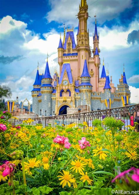 15 Stunning Disney World Wallpapers to Bring the Magic to Your Phone ...