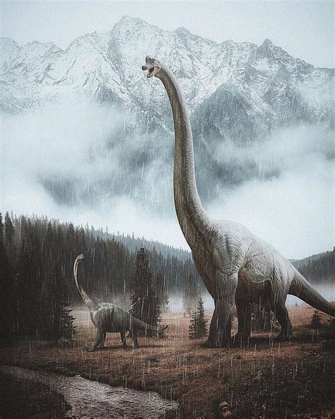 Best Dinosaurs Of Jurassic Park. in 2020. jurassic park, jurassic, jurassic park world ...