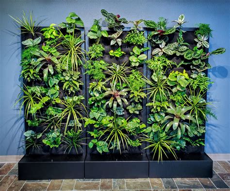 Modular Living Wall Units Offer a Green Experience – Plants On Walls