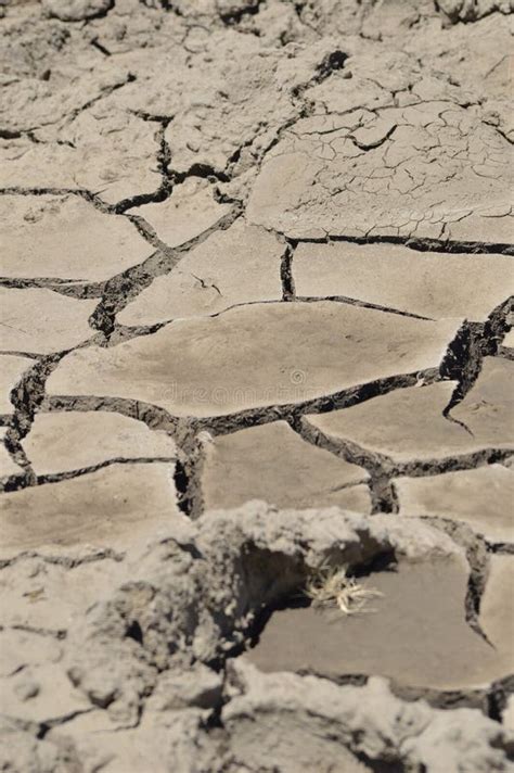 Dried up riverbed stock photo. Image of evaporated, cracked - 14023778