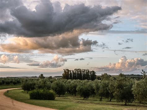 José Ignacio Travel Guide: Uruguay's Secret Beach Town - Heart for Wander