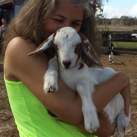 Goat Yoga, it’s a thing. | GoatsToGo.farm