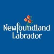 Government of Newfoundland and Labrador Interview Questions | Glassdoor
