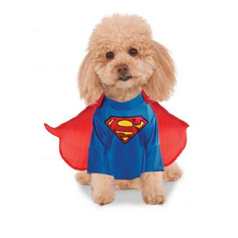 Superman Dog Halloween Costume by Rubies | BaxterBoo