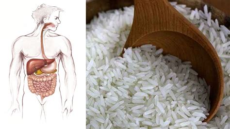 Is It Safe To Eat Raw Rice?(rice benefits) - YouTube